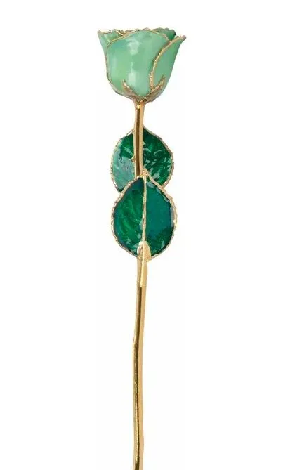 Peridot Colored Rose with 24K Gold Trim